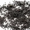 Graines de vanille Bourbon de Madagascar 2 Graines de vanille Bourbon noires de Madagascar
