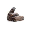 Vanille rouge Europe de Madagascar — gousses 12 cm+