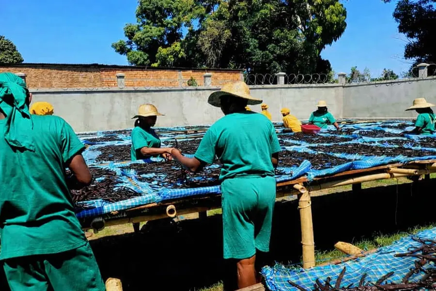 Madagascar Vanilla and Exceptional Spices 5 Sun-drying Bourbon vanilla in Madagascar — local producers of My Spices Land